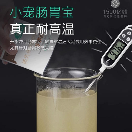 小宠肠胃宝10袋盒装  犬猫通用益生菌 正品保证 商品图4