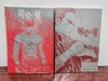 黄水斌少杰《欲望之翼》A3画集（银版）全集 商品缩略图0