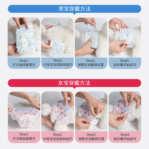 宠乐见狗狗纸尿裤尿不湿10片装 多尺寸 大吸量 1天1片 出口品质 商品图5