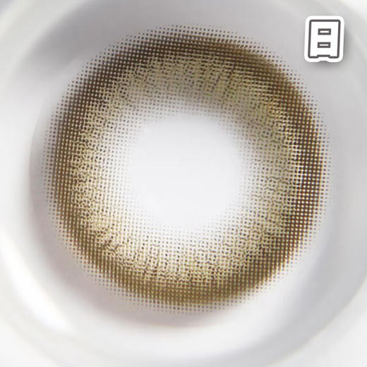 #ASH GRAY 芝麻团 14.2mm 8.5基弧【10片装】国产精品 / 日抛 商品图1