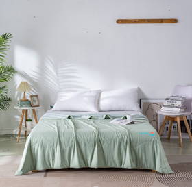 【远梦】沁凉生物绒夏被（新款）