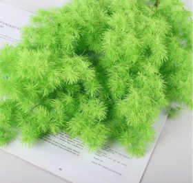 永生花材 ｜ 蓬莱松绿色