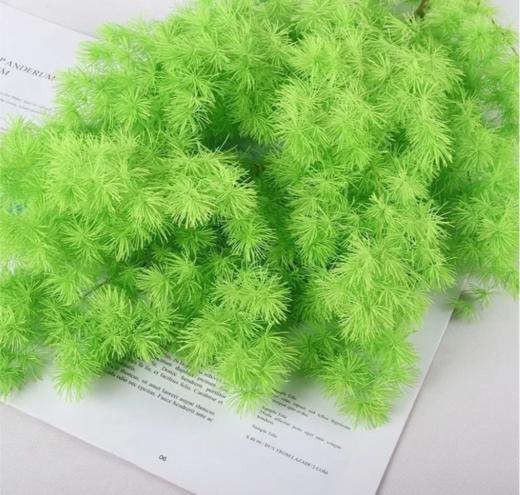 永生花材 ｜ 蓬莱松绿色 商品图0