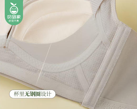 琪姝时尚蕾丝文胸（香草黄）/1件（75码，ABC通杯，适合45-55kg）补单专用 商品图2