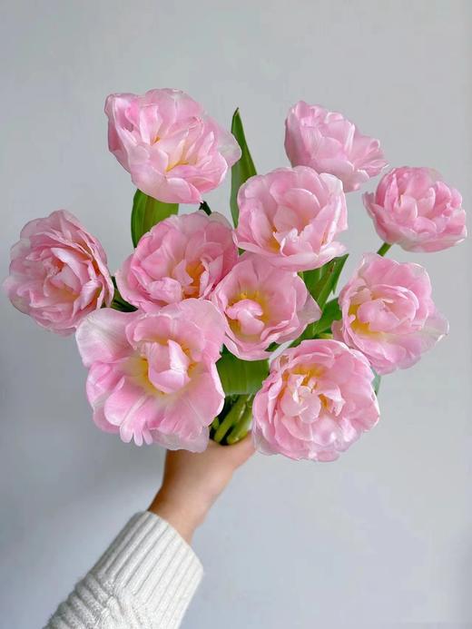 同城甄选猫爪慕斯郁金香9支 商品图3