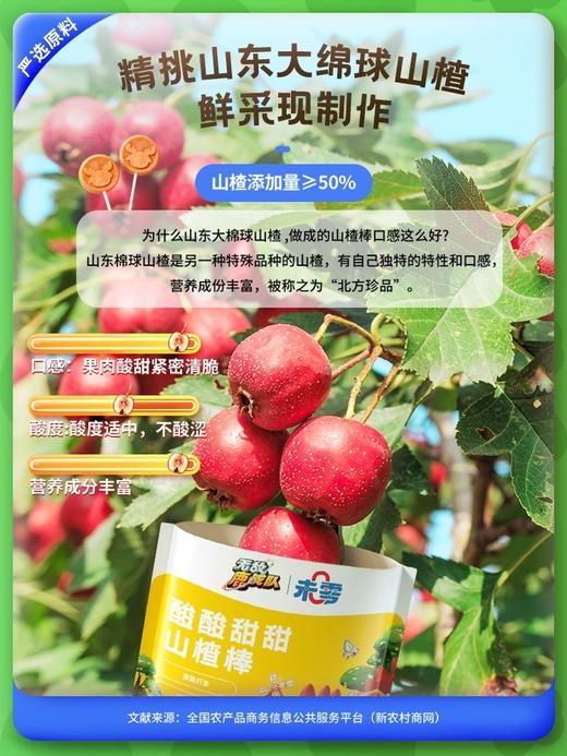 未零鹿战队山楂棒70g 商品图2