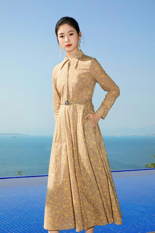 -椒房色100%棉连衣裙HJ1S47 商品图2