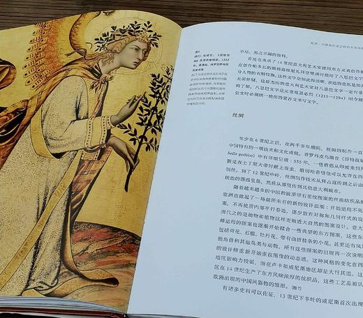 《中国风：13世纪-19世纪中国队欧洲艺术的影响》，精装，16开，[意大利]佛朗切斯科.莫瑞纳著，上海书画出版社2022年3月一版一印，312页，定价196元，售价78元。品相9成。 商品图4