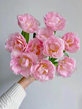 同城甄选猫爪慕斯郁金香9支