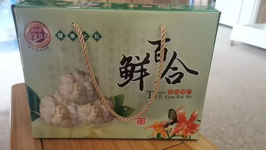 【宜兴特产】鲜百合新鲜食用纯农家天然大百合2.5kg/盒 商品图0
