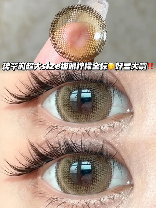 cedar香草柠檬金棕「含硅水凝胶」年抛型 商品图2