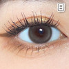 #ASH GRAY 芝麻团 14.2mm 8.5基弧【10片装】国产精品 / 日抛 商品缩略图0