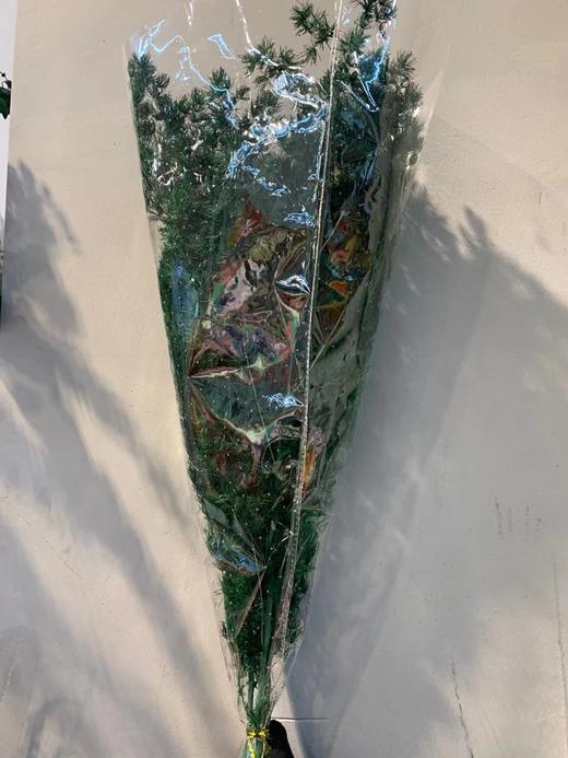 永生花材 ｜ 蓬莱松深绿色 商品图0