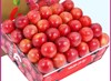 进口樱桃李一份约500g 商品缩略图0