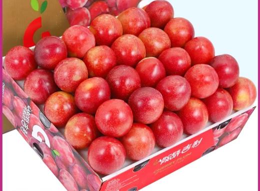 进口樱桃李一份约500g 商品图0