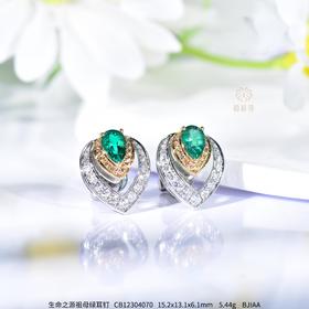 【慧眼】祖母绿耳钉    CB12304070