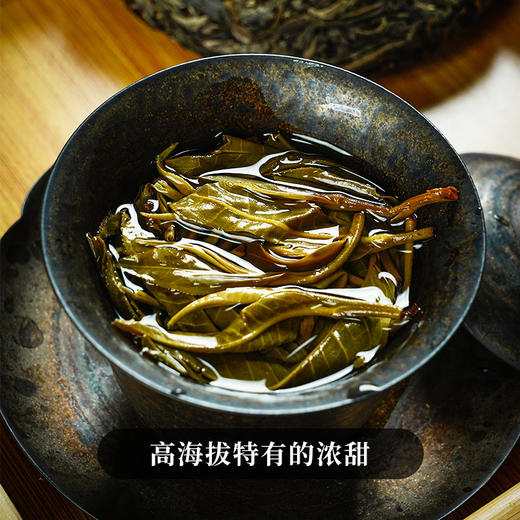 【618开门红】【大爷马邓茶】2023年头春头采云南八大名茶之一普洱茶生茶357克/饼 拍5发6 商品图6