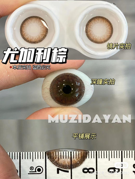 【本店实拍】Sheepcon-偏大款/混血尤加利系列-14.5mm 【年抛 度数0-1000度 含525/575 】 商品图1