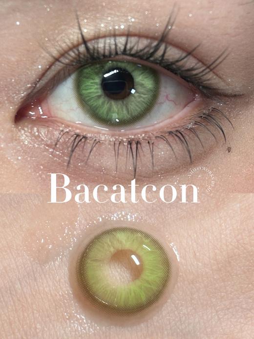 bacatcon 半年抛 基因碎片 直径14.2mm 着色13.5mm 商品图0