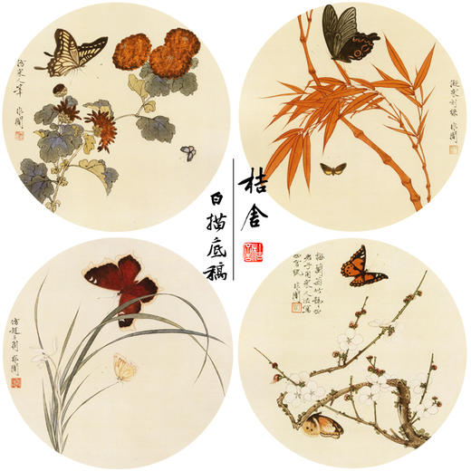 于非闇工笔花鸟白描底稿-圆形小品-梅兰竹菊-一套4幅册页-YF71 商品图0