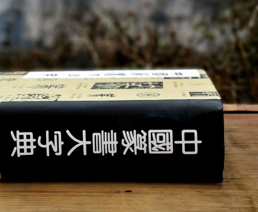 《中国篆书大字典》，精装，16开，李志贤等编著，上海书画出版社1997年一版，印次不详，1400页，定价180，售价88元。品相9成 商品图1
