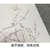 于非闇工笔花鸟白描底稿-圆形小品-梅兰竹菊-一套4幅册页-YF71 商品缩略图3