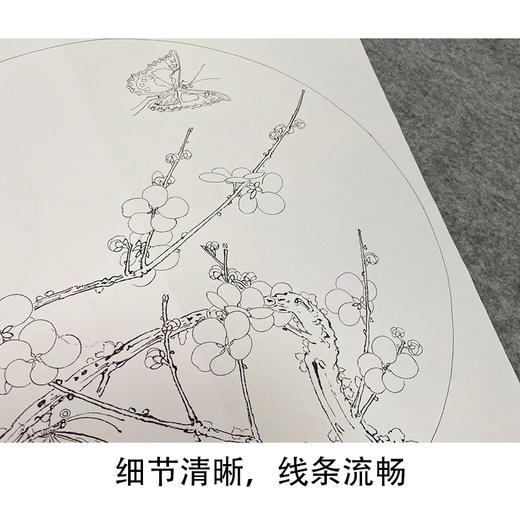 于非闇工笔花鸟白描底稿-圆形小品-梅兰竹菊-一套4幅册页-YF71 商品图3