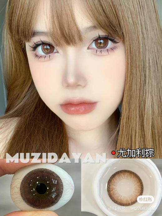 【本店实拍】Sheepcon-偏大款/混血尤加利系列-14.5mm 【年抛 度数0-1000度 含525/575 】 商品图2