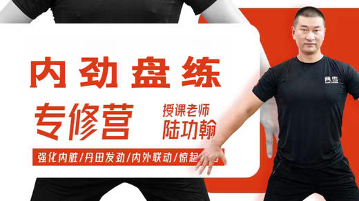 【训练营教程】内劲盘练专修 商品图0