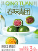 12月新货 | 网红青团（春天的气息 创新馅料) 100克/袋 60袋/箱 保质期45天 商品缩略图14
