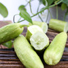 【喝牛奶长大的海阳牛奶白玉黄瓜】  乳白青透 宛若润玉 口感脆嫩清甜 产地直发 商品缩略图3