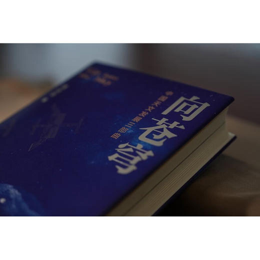 向苍穹 章剑华 著 纪实文学 商品图1