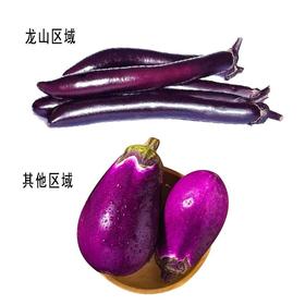 本地茄子（约500g/份）