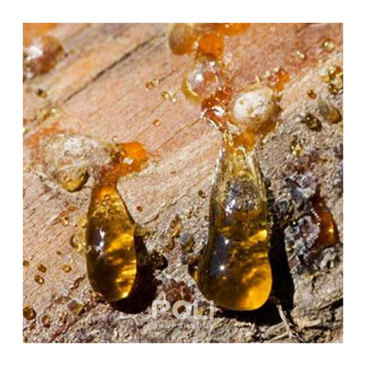 中国没药精油 美容院护肤按摩没药精油 颇黎批发单方精油原料 商品图1