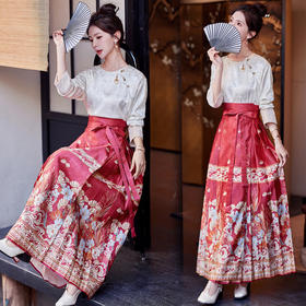 新中式国风套装，高级感复古气质漂亮红色马面裙两件套HR-CPYY8001