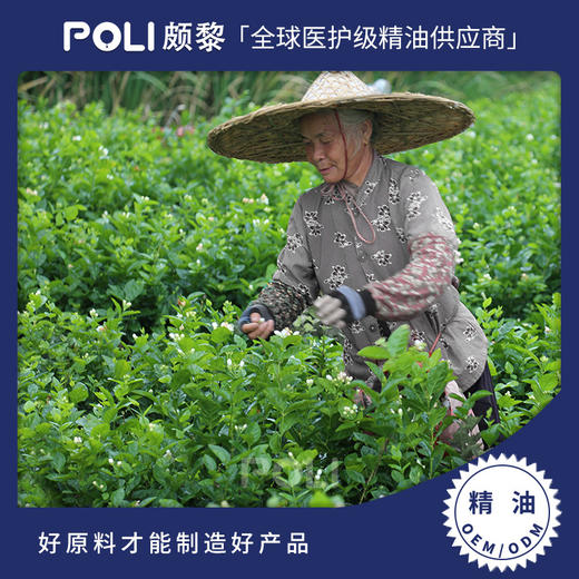 茉莉净油原精 精油原料批发灌装 颇黎POLI补水净油原料 商品图0