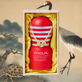 TENGA典雅 日本进口2024限定典雅杯 男用一次性飞机杯成人情趣用品玩具