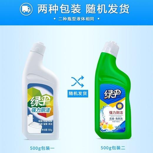 绿伞强力厕洁500g马桶清洁剂除臭去味高效清洁 商品图1