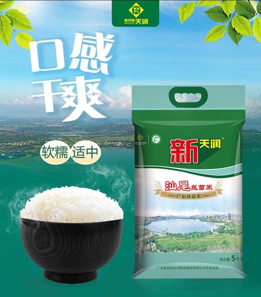 新天润汕尾丝苗米5kg 商品图0