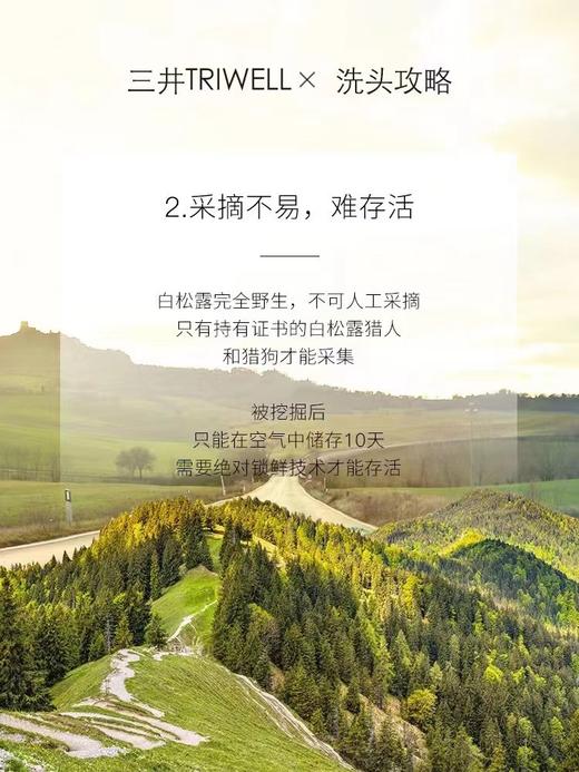 大容量三井巨无霸洗发水 头痒、头屑、大油头就用它‼️ 商品图13