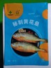 黄花鱼 （真空包装）0.5kg/袋*10 商品缩略图0