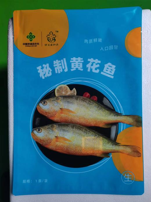 黄花鱼 （真空包装）0.5kg/袋*10 商品图0