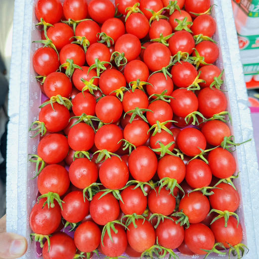 蛙语爆浆千禧果 一筐5.5斤 商品图7