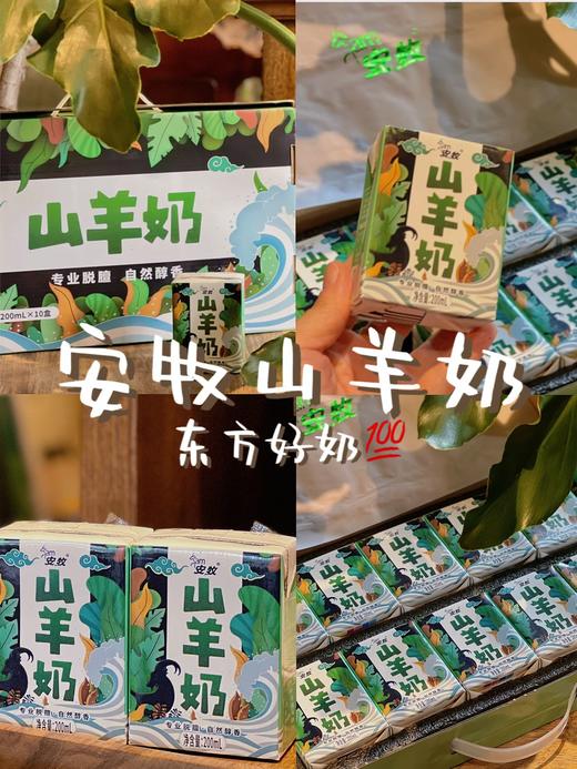 【奶中贵族.安牧山羊奶】保留其丰富的营养成份，甘甜奶香，入口香浓丝滑无膻味-MDHC 商品图8