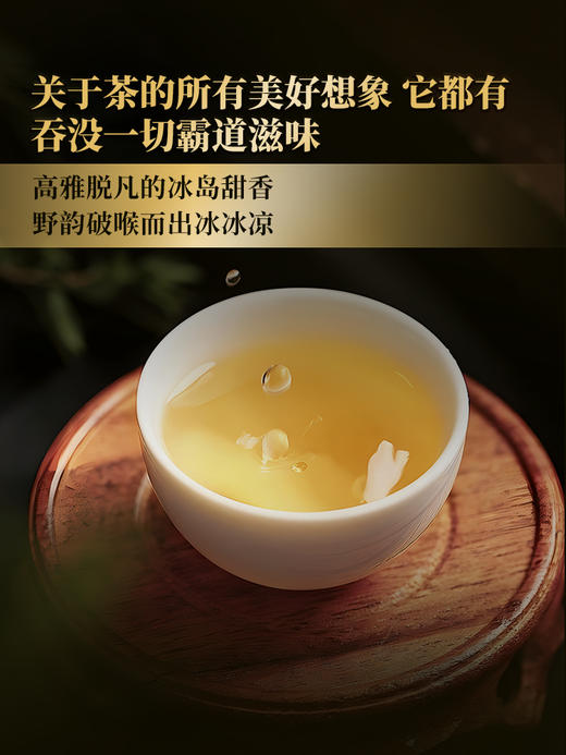 【冰岛老寨】2024年春茶普洱茶界的霸主 茶人梦寐以求的冰岛老寨 选自十号茶农李新和家核心片区古树  普洱茶生茶357g/饼 拍5发6 商品图2