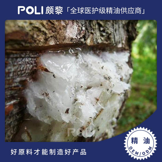 英国进口榄香脂精油 护肤补水单方精油原料oem 颇黎按摩刮痧精油 商品图0