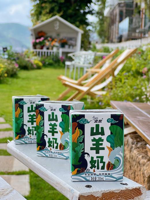 【奶中贵族.安牧山羊奶】保留其丰富的营养成份，甘甜奶香，入口香浓丝滑无膻味-MDHC 商品图2