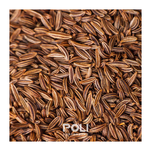 印度进口香菜精油 天然芫荽精油原料供应 POLI颇黎补水精油原液 商品图1