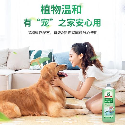 Frosch 家居多用途清洁剂1L/瓶 商品图1