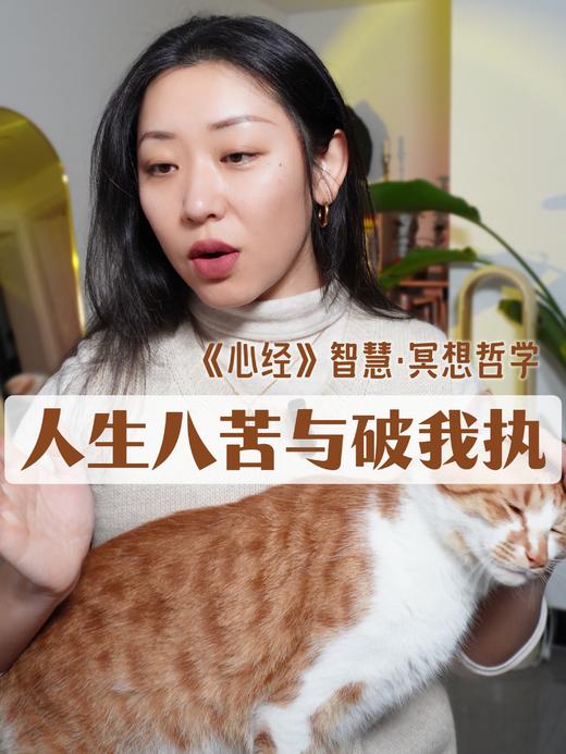 【直播精华版】《心经》人生八苦与破我执-2024.2.16 商品图0